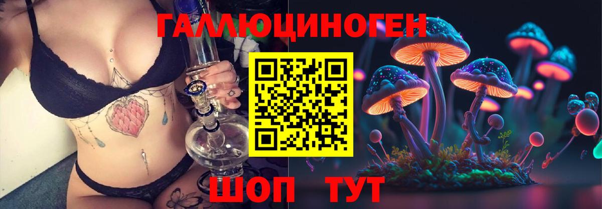 Псилоцибиновые грибы Psilocybe  Вход с VPN  Псилоцибиновые грибы Psilocybe  Сургут 